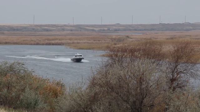 Поздравления Василисы с Годом Тигра (2022)