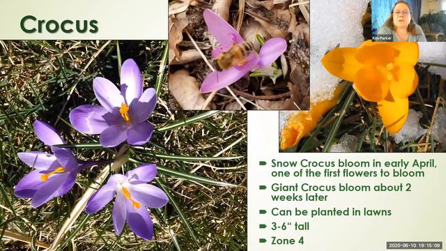 Growing Perennials in Laramie County with Master Gardener Kim Parker смотреть онлайн