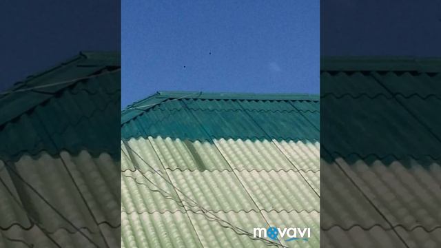 Ремонтные Комбинации