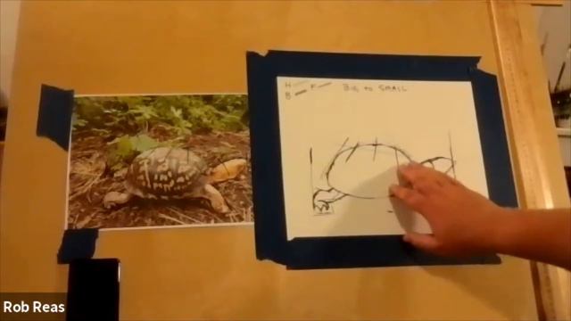 Natural Illustration with Rob Reas of DPNC смотреть онлайн