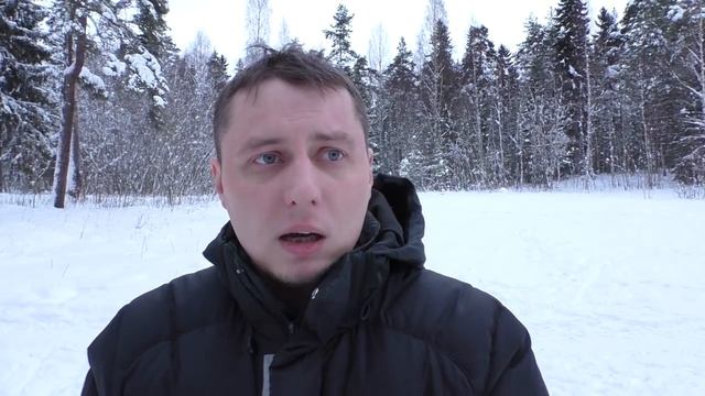 ВЗРОСЛЫЙ МАЛАМУТ ◆ Правда и мифы