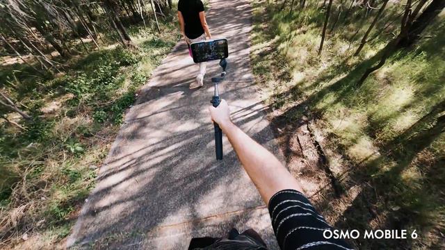 DJI RS 3 Mini Vs DJI Ronin SC Vs DJI Osmo Mobile 6: Gimbal Buyers Guide | DansTube.TV