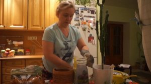 Обрезка кактуса. Формируем крону кактуса.