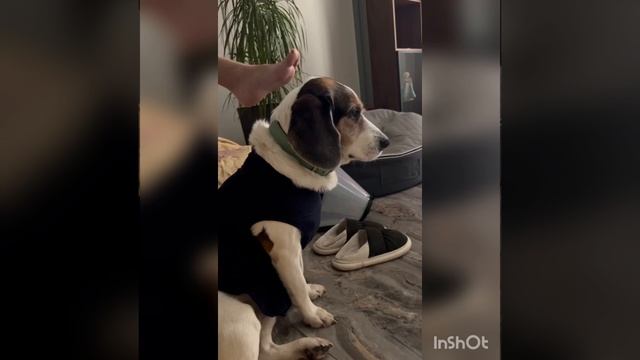 Видеопривет от гостя?
Ждем??