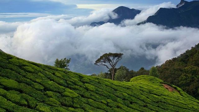 Энергия Абстракции