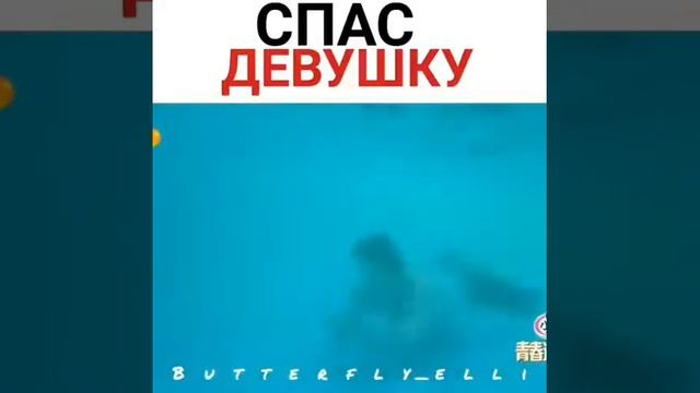 Чжи Чан Ук? смотреть онлайн