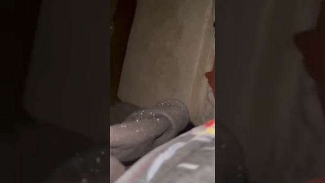 В Санкт Петербурге девушка на глазах прыгнула в прорубь на крещение на глазах мужа и детей и утонул смотреть онлайн