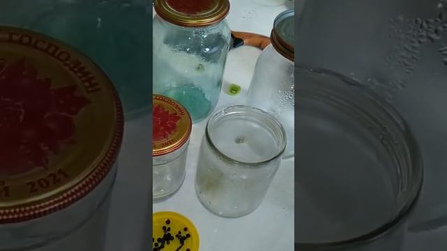 Зелёные маленькие помидоры целые на зиму , коротко смотреть онлайн