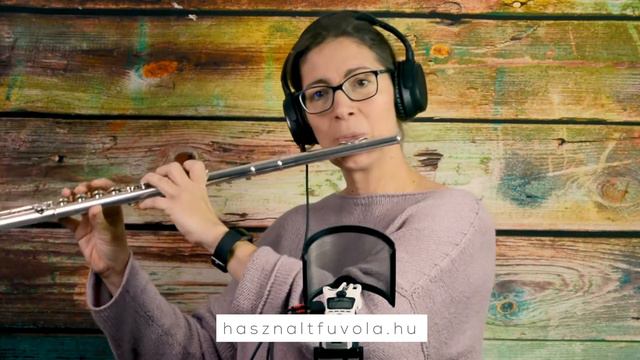 A használtfuvola bemutatja: No.121 Pearl 501 смотреть онлайн