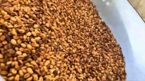 национальное блюдо Талкан