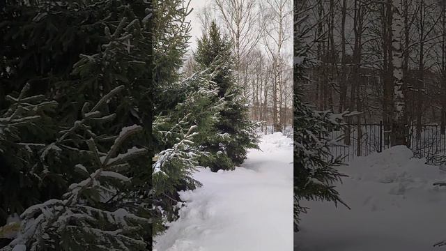 А ты опять сегодня не пришла смотреть онлайн