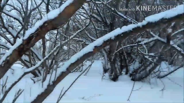 Рыбалка | Делаем шалаш смотреть онлайн