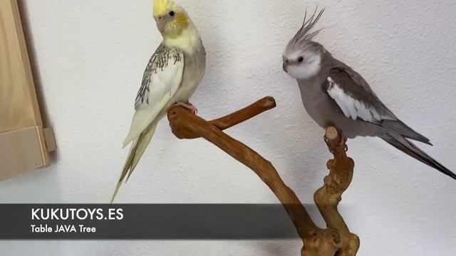 Kukutoys Table Java Tree смотреть онлайн