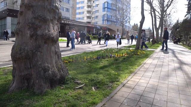 Вербное воскресенье. Тюльпаны и барвинок. Лебеди и море смотреть онлайн