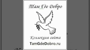 13 - Куда ты, тропинка, меня привела