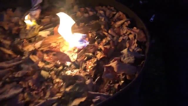 Осень на даче! Сжигаем листву смотреть онлайн