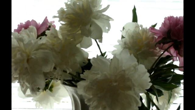 моя дорогая... смотреть онлайн