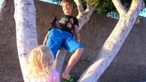 Папу столкнули в ВОДУ. Получили новый НЕРФ. Брос Шоу