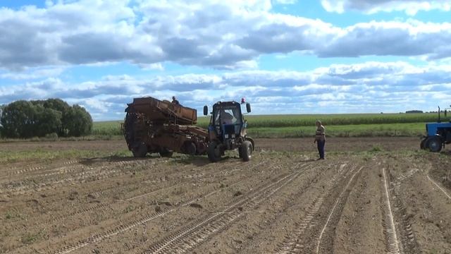 Трактор МТЗ 82 в сцепке с КПК 2-01 "Рязанец" копает картофель смотреть онлайн