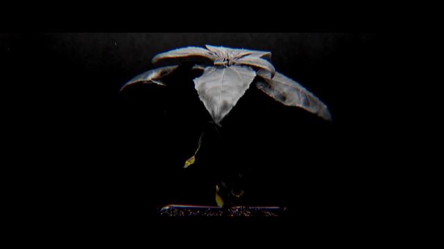 Preview | Contemporary advanced | Choreographer Ирина Широкая | Лимонник 2019 смотреть онлайн