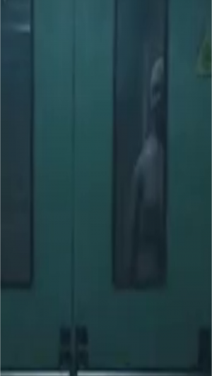 Ночью в морге