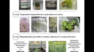 Технология микроклонального размножения растений (за 5 минут)