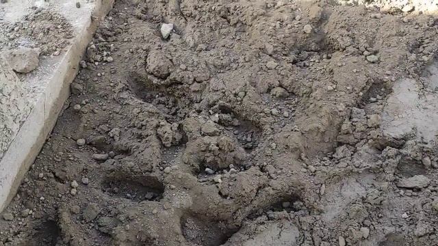 ПОСТРОИЛ ДОМ ИЗ ГЛИНЫ!1 ЧАСТЬ смотреть онлайн