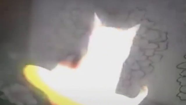 ШОК!!! КОТ СТАЛ БАНАНОМ!1!! смотреть онлайн