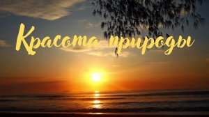 Красота природы. Красивая музыка для души. Современная классика Эдгара Туниянца.