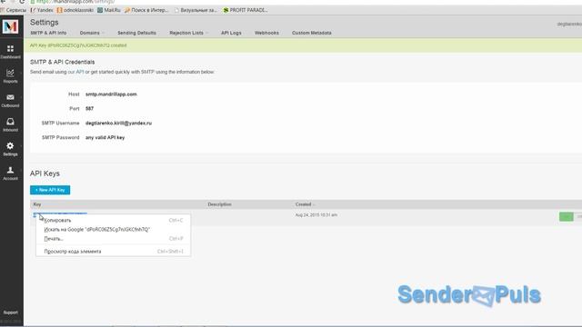 Добавление своего SMTP сервера (сервис E-mail маркетинга SenderPuls)