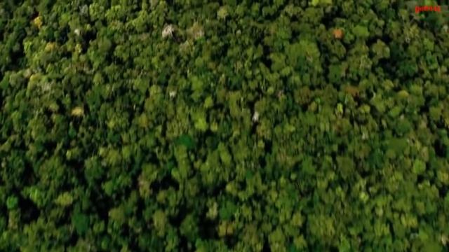 Сергей Есенин Жизнь обман с чарующей тоскою смотреть онлайн