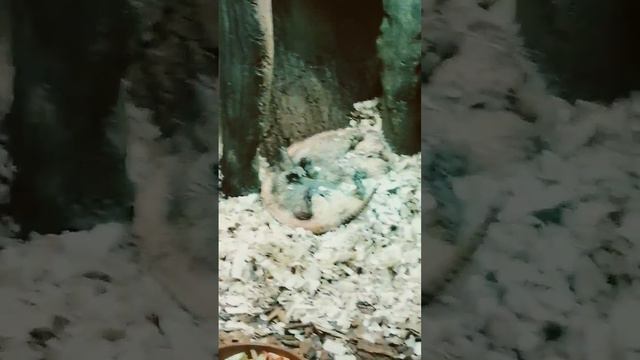 экскурсия16 броненосци смотреть онлайн