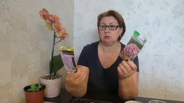 Эустома- февральский посев (четвертый) в таблетки. По вашей просьбе. смотреть онлайн