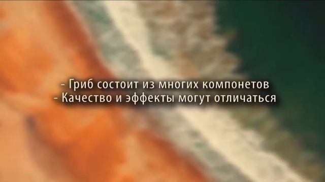 Ежовик Гребенчатый