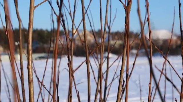 тест драйв Джип Гранд Чероки _ Jeep Grand Cherokee 2014