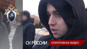 Вынесен приговор исполнителю убийства следователя Евгении Шишкиной