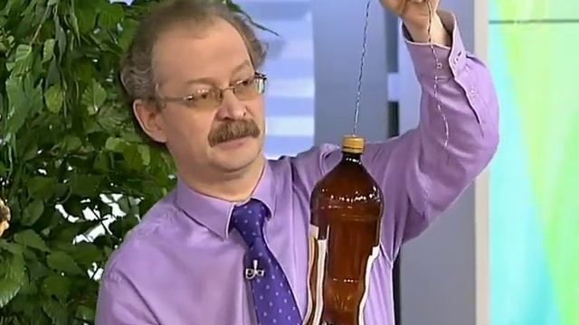 Кормушка для птиц. Из чего ее можно сделать смотреть онлайн