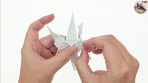 Transforming a AUTOBOT WINDBLADE Origami Transformer