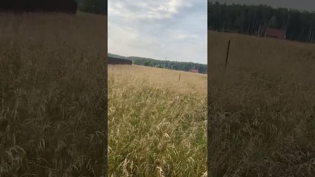 Участок №197 - 10 соток - 660 000 ₽ в ДНТ «Приозёрские Дачи» Горьковское шоссе 100 км смотреть онлайн