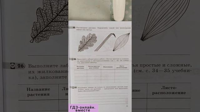 ГДЗ. Биология. 6 класс. В. Пасечник. Рабочая тетрадь. Параграф 6 смотреть онлайн