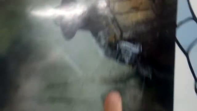 Сноуборд наклейки заказ в компании Royllent смотреть онлайн