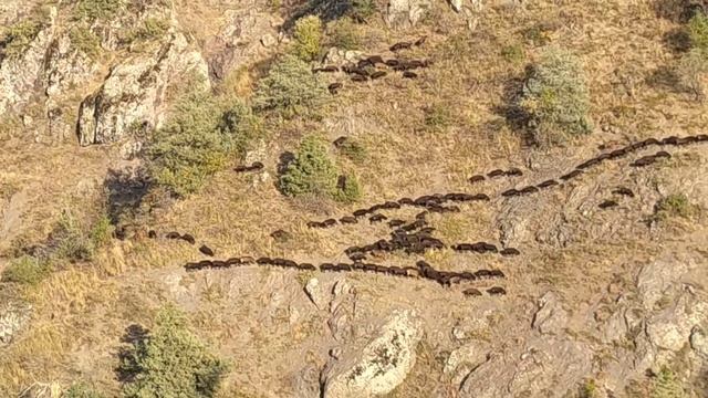 Бельдерсай Канатная дорога смотреть онлайн