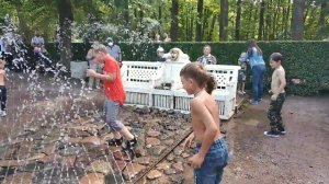 Дети купаются в фонтанах в Петергофе