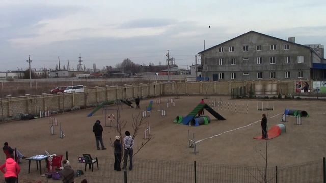 Скрипица Дарья и Чеддер гемблерз смотреть онлайн