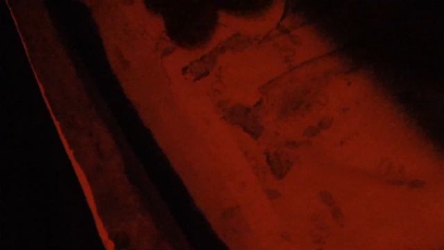 Как проходит зимовка пчёл в подполе дома, покупка новых ульев ППС.