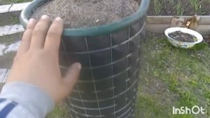 ВЕРТИКАЛЬНАЯ ГРЯДКА ДЛЯ КЛУБНИКИ