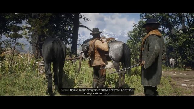 Red Dead Redemption 2 ПРОХОЖДЕНИЕ С РУССКОЙ ОЗВУЧКОЙ #9 смотреть онлайн