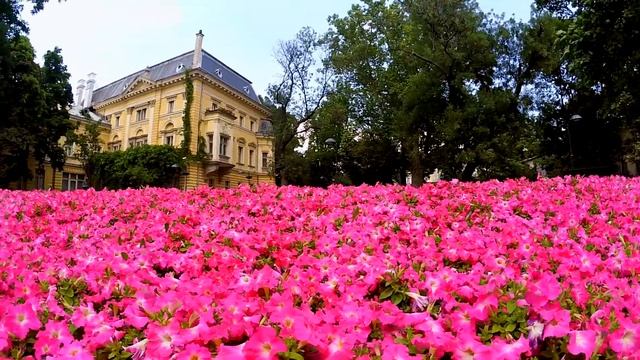 СОФИЯ, Болгария | SOFIA, Bulgaria смотреть онлайн