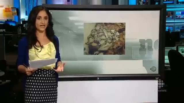 Python Snake kills 2 boys after escaping pet store in Canada смотреть онлайн