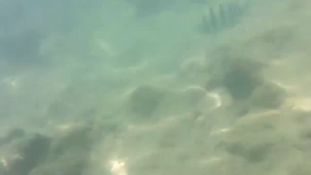 Что я наснимал на телефон под водой. смотреть онлайн